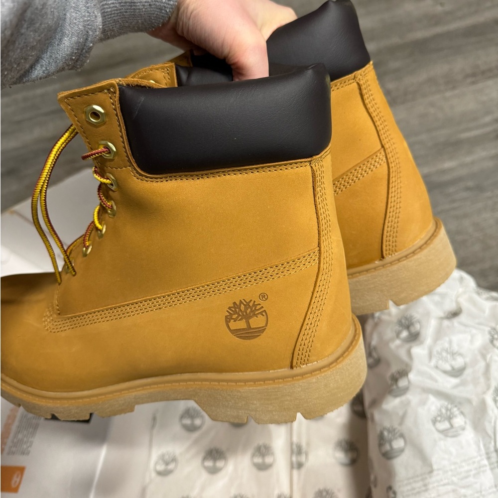Timberland 6" Premium Waterproof Boots Man size 11 NEW